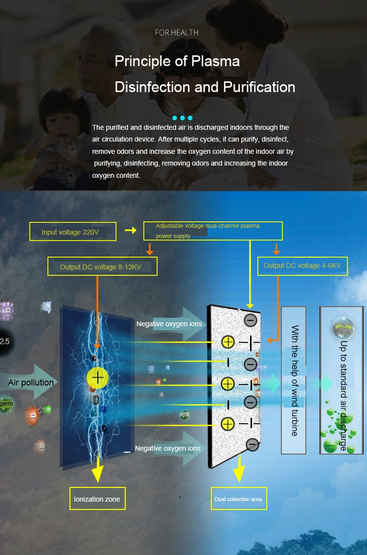 Medical Sterilization Equipment Plasma Air Purification Sterilizer Odor Formaldehyde Pm0.5